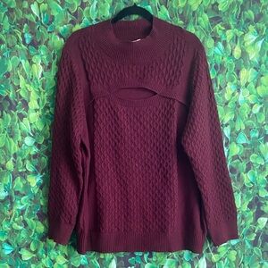 Terra & Sky - Textured Cranberry Sweater(curvy size)